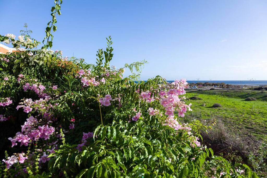 Tejita Beach La Tejita Eksteriør billede